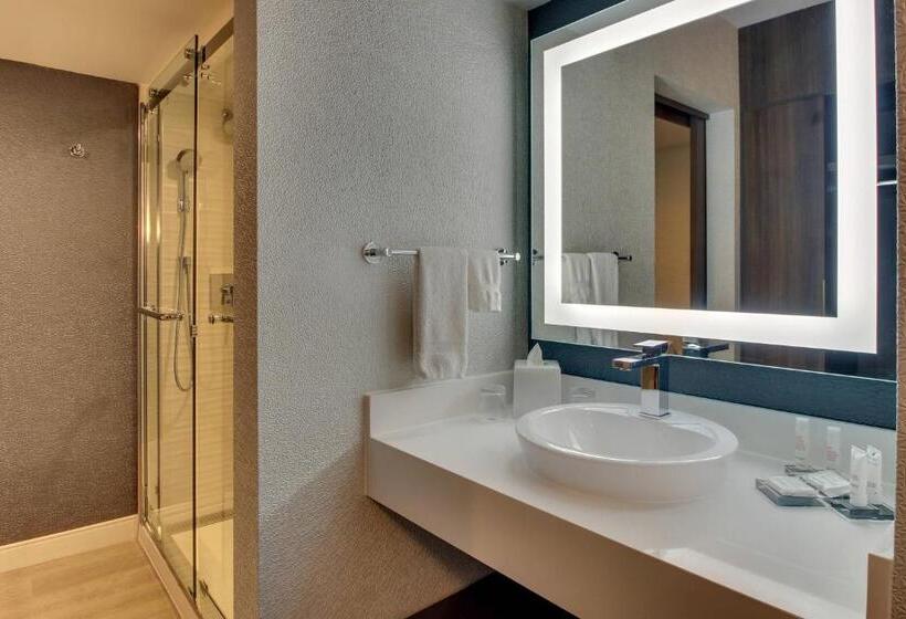장애인을 위한 킹사이즈 침대 스탠다드 룸, Huntsville Marriott At The Space & Rocket Center