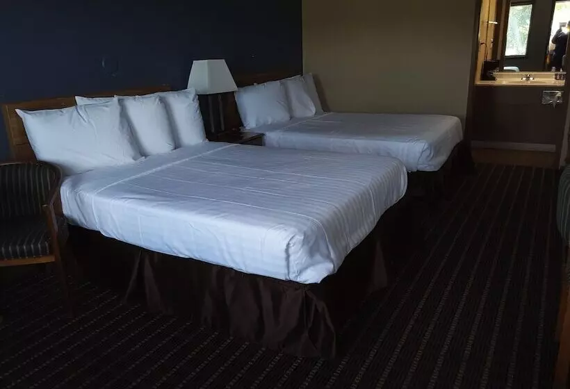 ２ダブルベッドのスタンダードルーム, Knights Inn Ashland