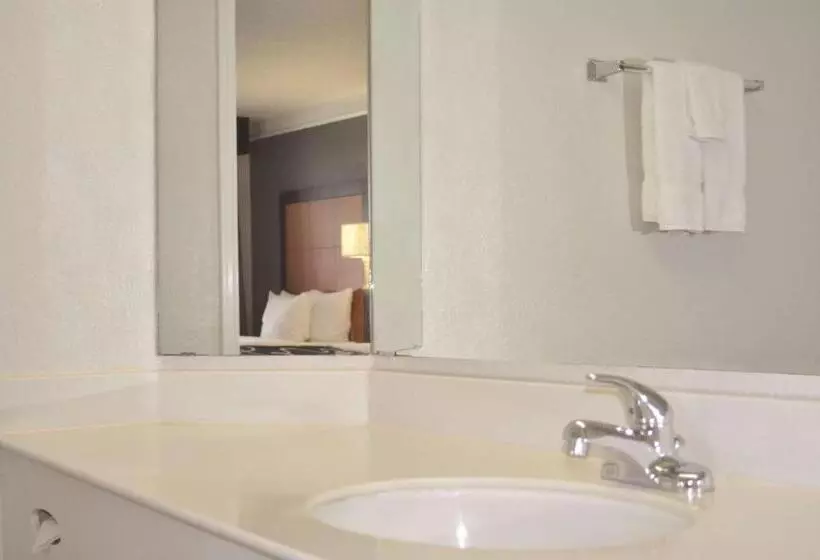 2ダブルベッドのスタンダードルーム, La Quinta Inn By Wyndham Dallas Uptown