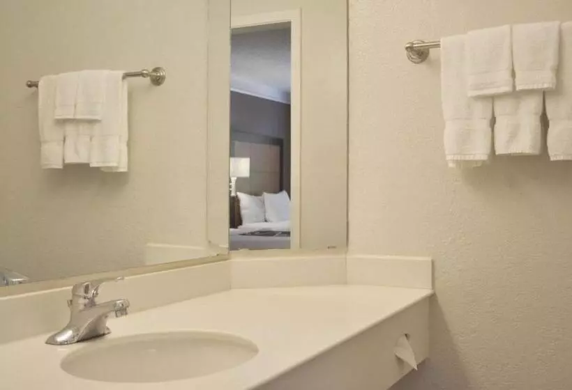エクゼクティブルーム, La Quinta Inn By Wyndham Dallas Uptown