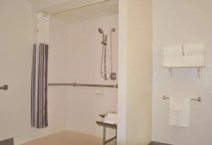 身障者適用キングサイズベッドルーム, La Quinta Inn By Wyndham Dallas Uptown