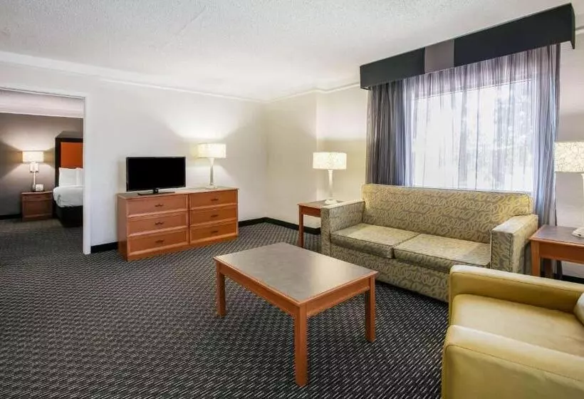 キングサイズベッドのスイートルーム, La Quinta Inn By Wyndham Dallas Uptown