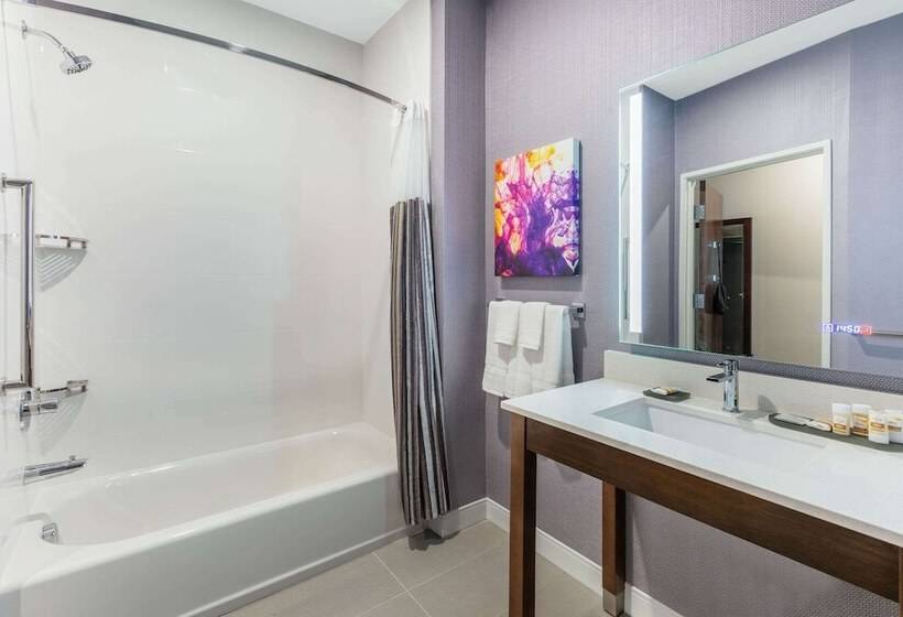 适用于残疾人士的豪华房间, La Quinta Inn & Suites By Wyndham Lewisville