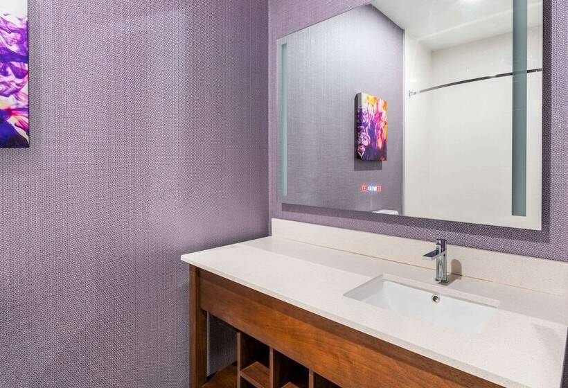 Номер Deluxe Адаптированный для Инвалидов, La Quinta Inn & Suites By Wyndham Lewisville