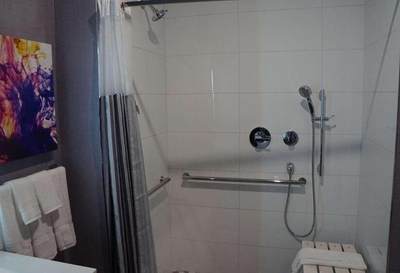 适用于残疾人士的豪华房间, La Quinta Inn & Suites By Wyndham Lewisville