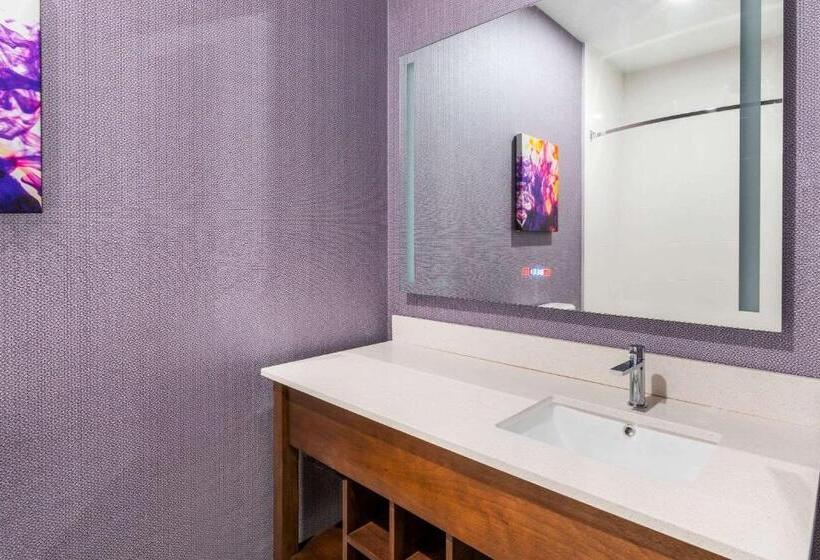 适合残疾人士使用的带超级大床的标准间, La Quinta Inn & Suites By Wyndham Lewisville