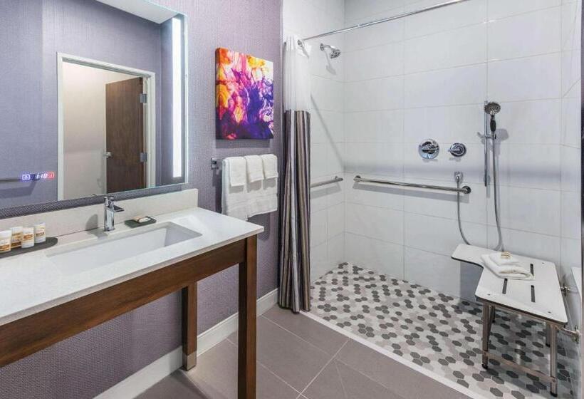 Номер Стандарт Адаптированный для Инвалидов, La Quinta Inn & Suites By Wyndham Lewisville