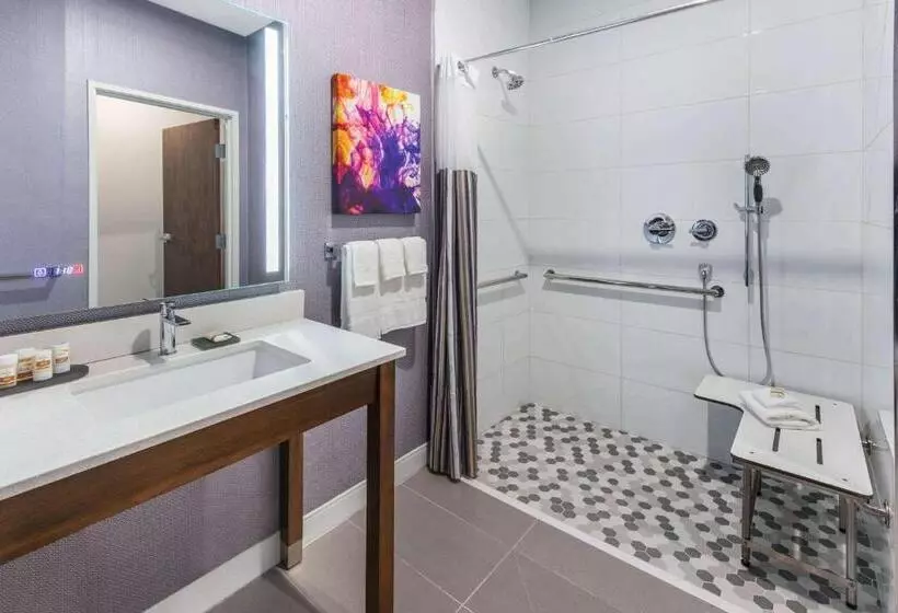 身障者適用スタンダードルーム, La Quinta Inn & Suites By Wyndham Lewisville