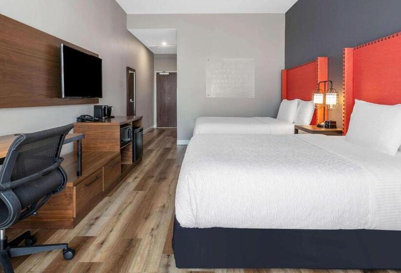 适合残疾人使用的标准间, La Quinta Inn & Suites By Wyndham Lewisville