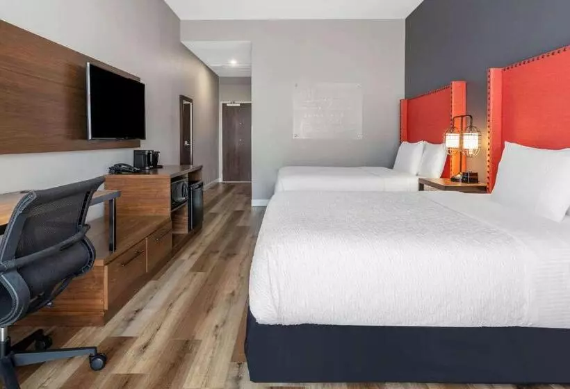 身障者適用スタンダードルーム, La Quinta Inn & Suites By Wyndham Lewisville