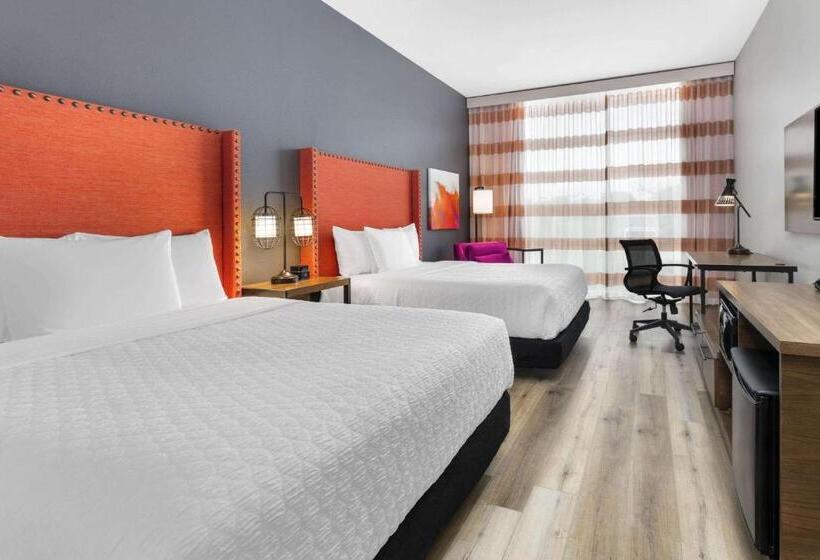 适合残疾人使用的标准间, La Quinta Inn & Suites By Wyndham Lewisville