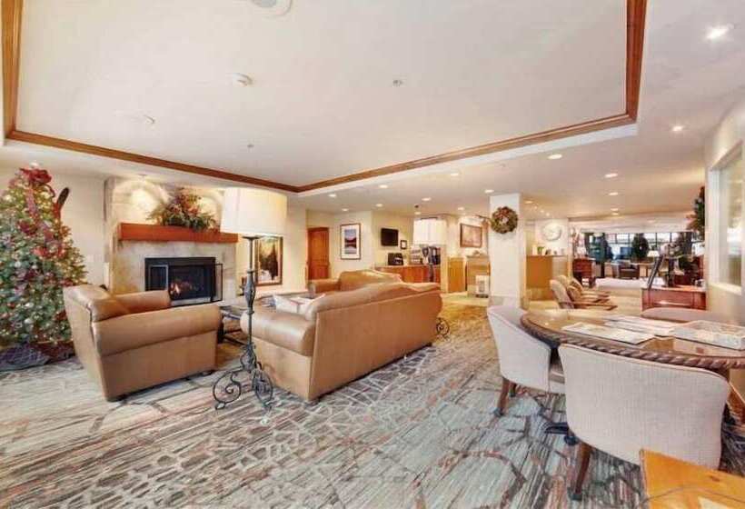 דירת חדר, Lion Square Lodge