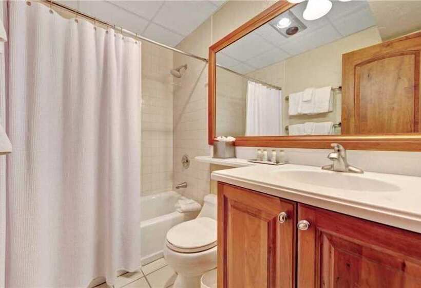 דירת חדר, Lion Square Lodge