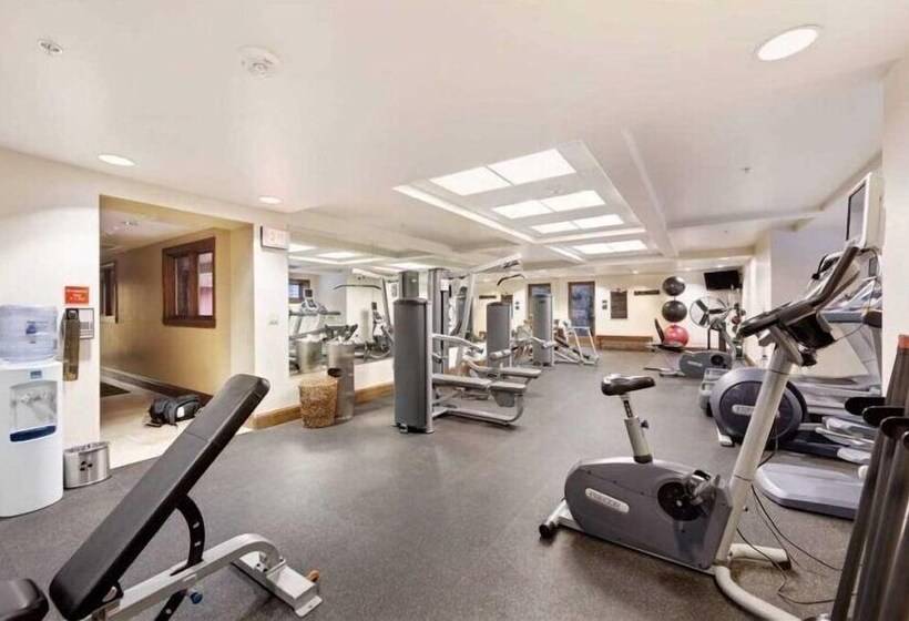 דירת חדר, Lion Square Lodge