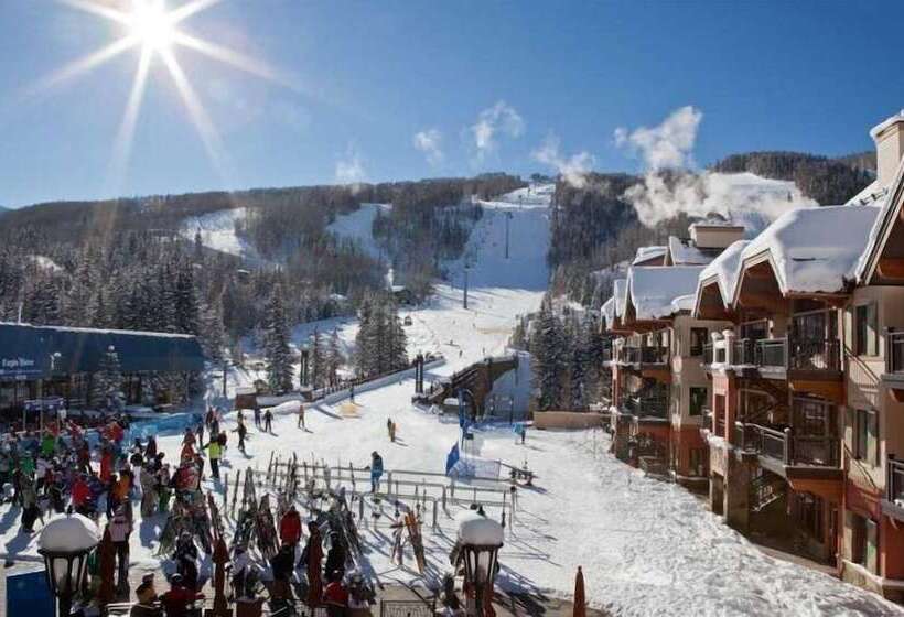 דירת חדר, Lion Square Lodge