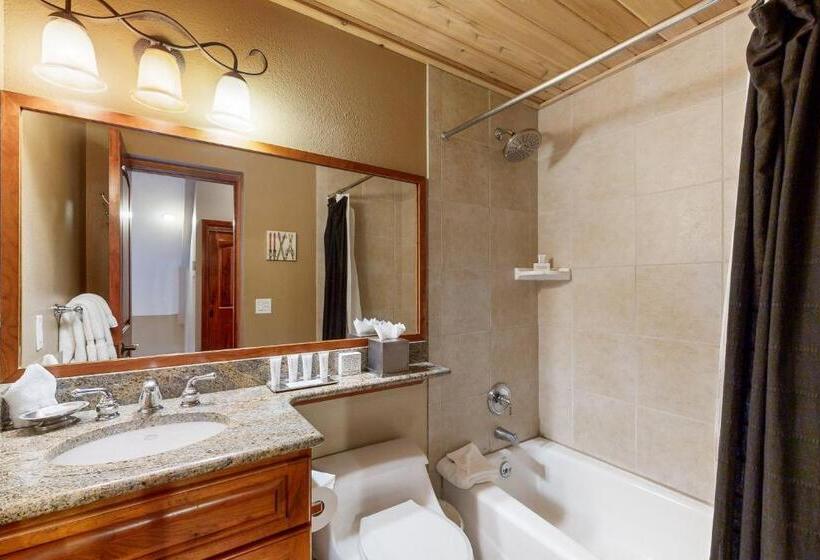 דירת חדר, Lion Square Lodge