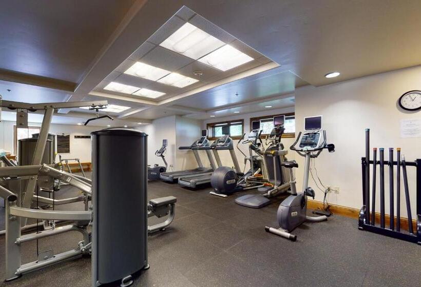 דירת שני חדרים, Lion Square Lodge