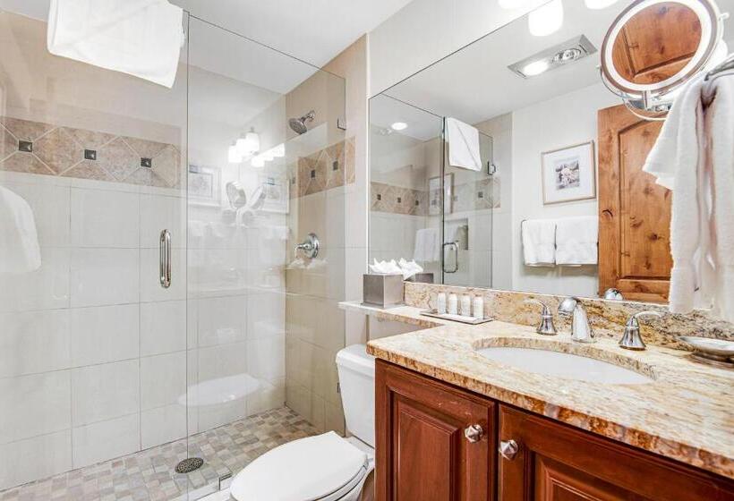 חדר סטנדרט, Lion Square Lodge