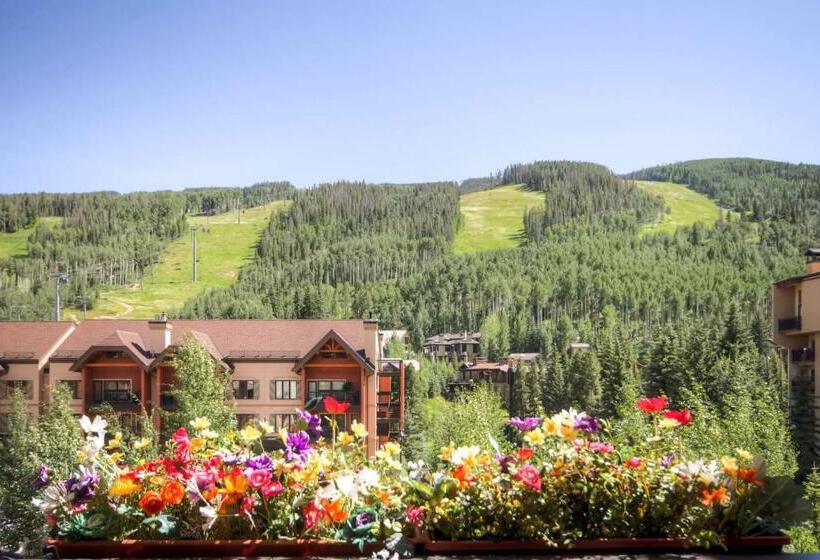 דירת חדר, Lion Square Lodge