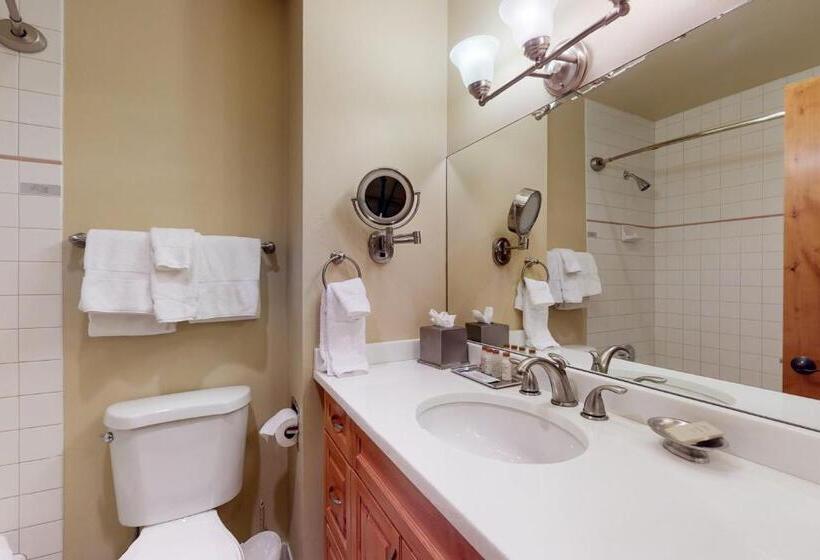 דירת שני חדרים, Lion Square Lodge