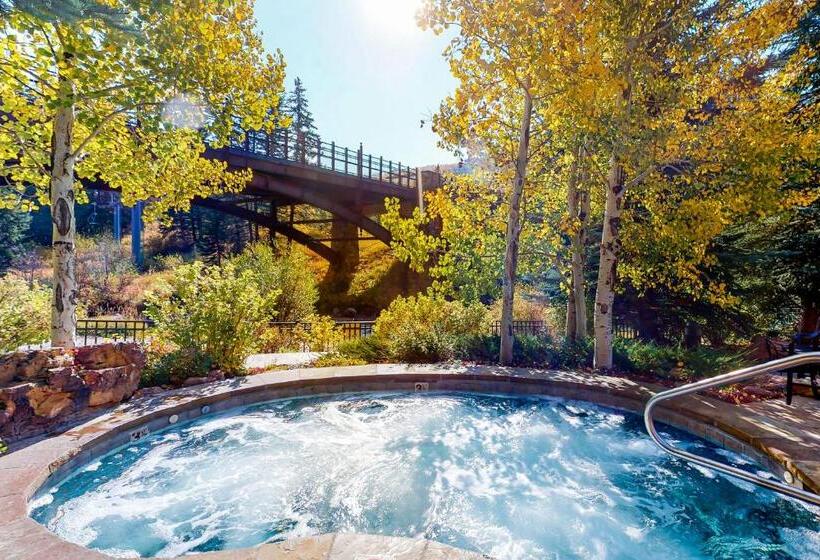 דירת חדר, Lion Square Lodge