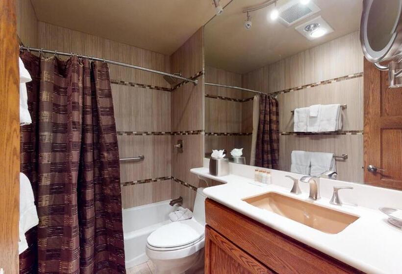 דירת חדר דלוקס, Lion Square Lodge