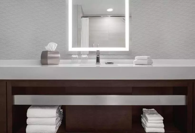 سوئیت با تخت بزرگ, Minneapolis Marriott City Center
