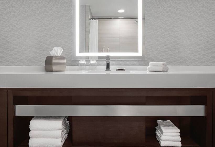 스탠다드 룸 더블 침대 2개, Minneapolis Marriott City Center