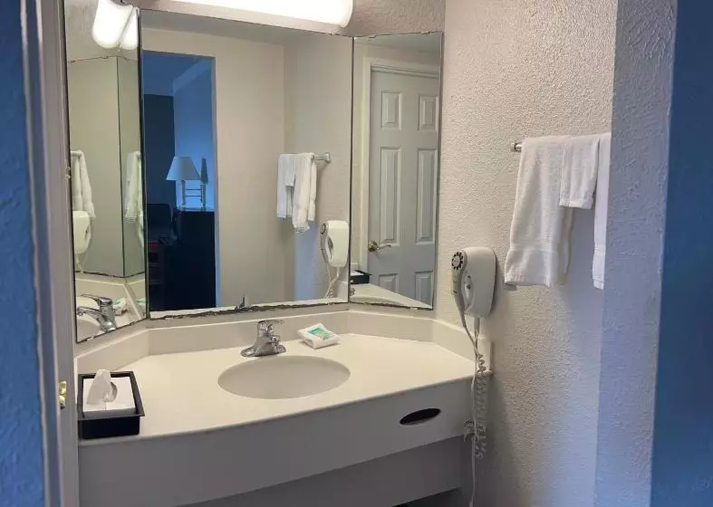 اتاق استاندارد با تخت بزرگ, Rodeway Inn