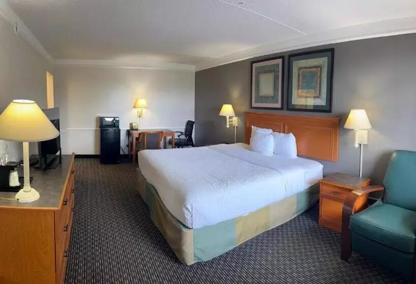 اتاق استاندارد با تخت بزرگ, Rodeway Inn