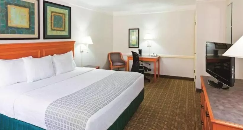 اتاق استاندارد با تخت بزرگ, Rodeway Inn