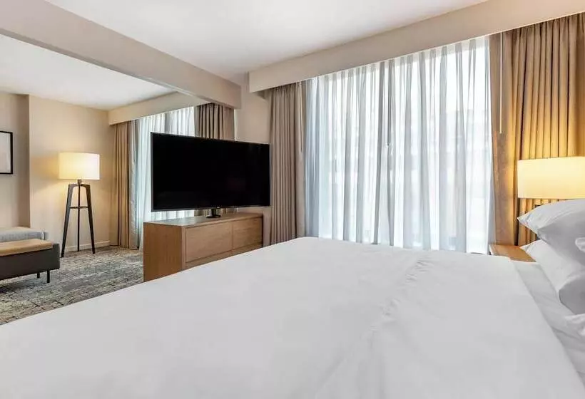 Club-studio, Sheraton Suites Old Town Alexandria