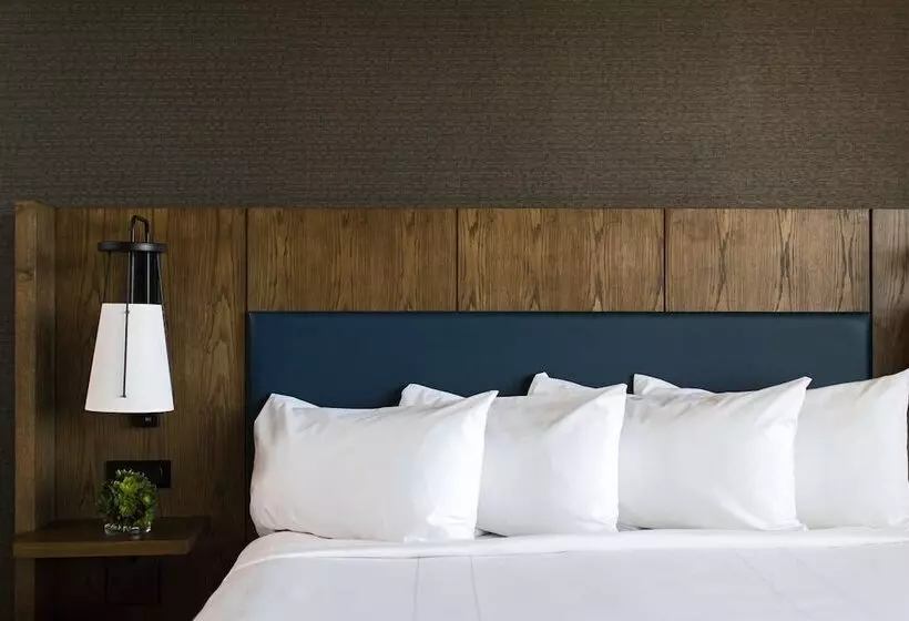 اتاق لوکس, Sonesta Nashville Airport