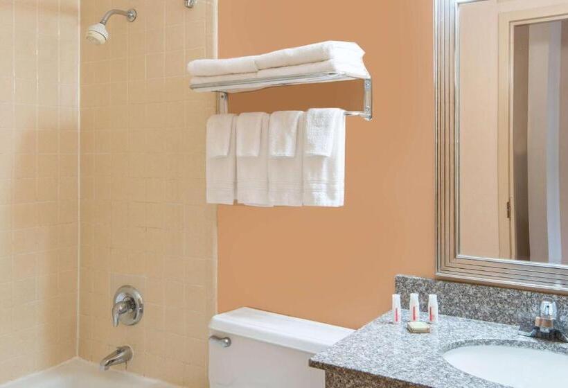 キングサイズベッドのスタンダードルーム, Superb Hamburg Motel