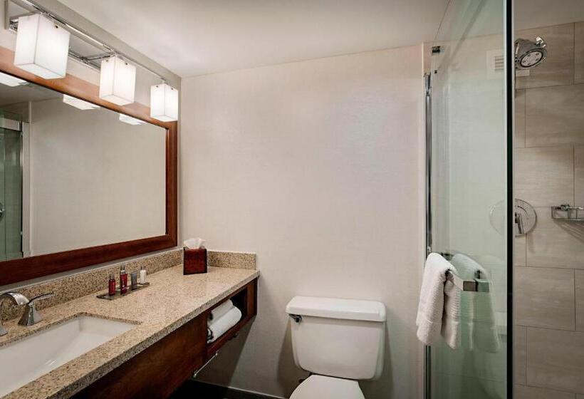 스탠다드 룸 킹사이즈 침대, Lincolnshire Marriott Resort