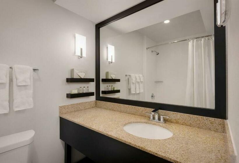 Стандартный Номер Кровать Кинг, Delta Hotels By Marriott Orlando Celebration