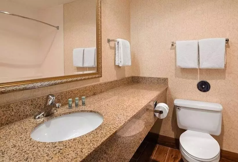 ２ダブルベッドのスタンダードルーム, Best Western Westminster
