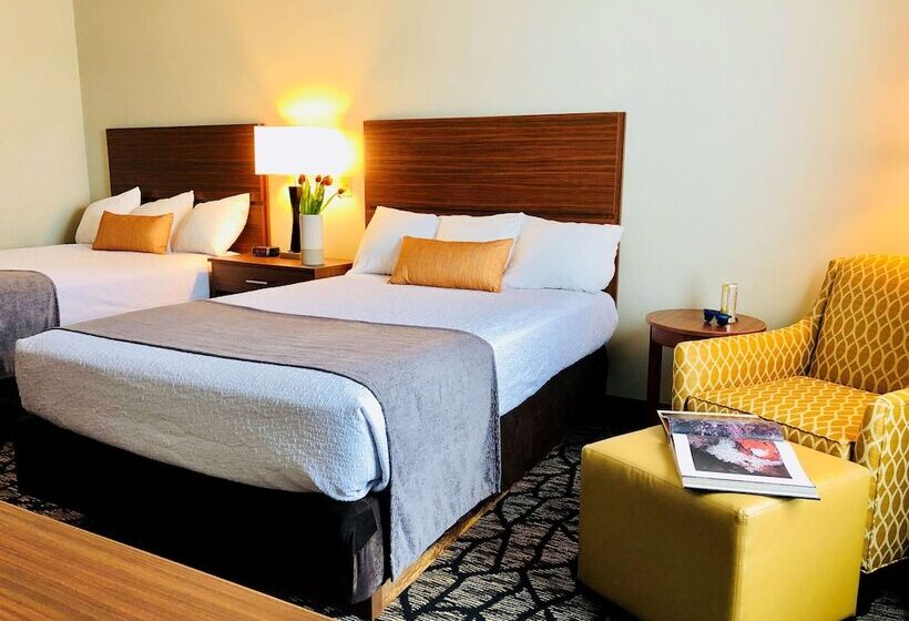 غرفه قياسيه سريرين مزدوجين, Best Western Westminster