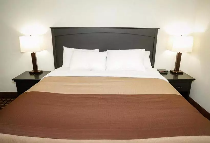 اتاق استاندارد با تخت بزرگ, Billings Hotel & Convention Center