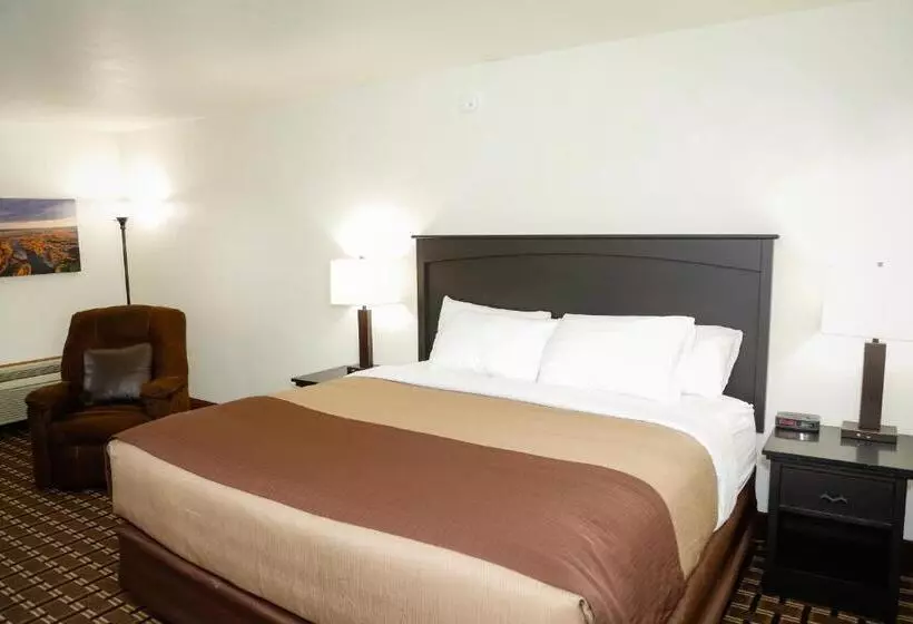 اتاق استاندارد با تخت بزرگ, Billings Hotel & Convention Center