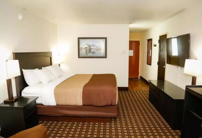 اتاق استاندارد با تخت بزرگ, Billings Hotel & Convention Center
