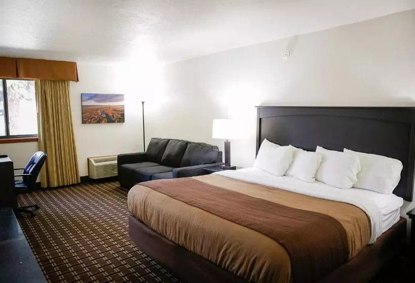 اتاق لوکس با تخت بزرگ, Billings Hotel & Convention Center