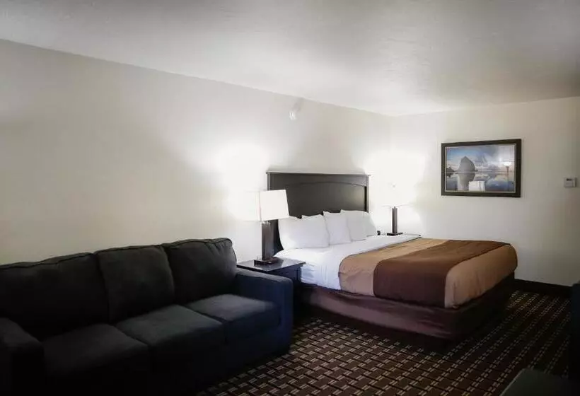 اتاق لوکس با تخت بزرگ, Billings Hotel & Convention Center