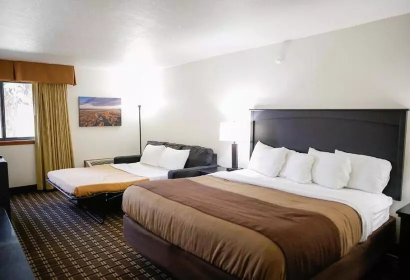 اتاق لوکس با تخت بزرگ, Billings Hotel & Convention Center