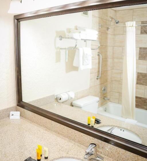 Номер Deluxe Кровать Кинг, Billings Hotel & Convention Center