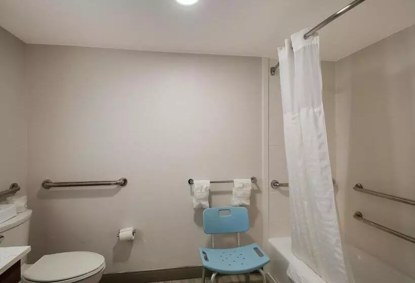 身障者適用スタンダードルーム, Comfort Inn Falls Church   Tysons Corner