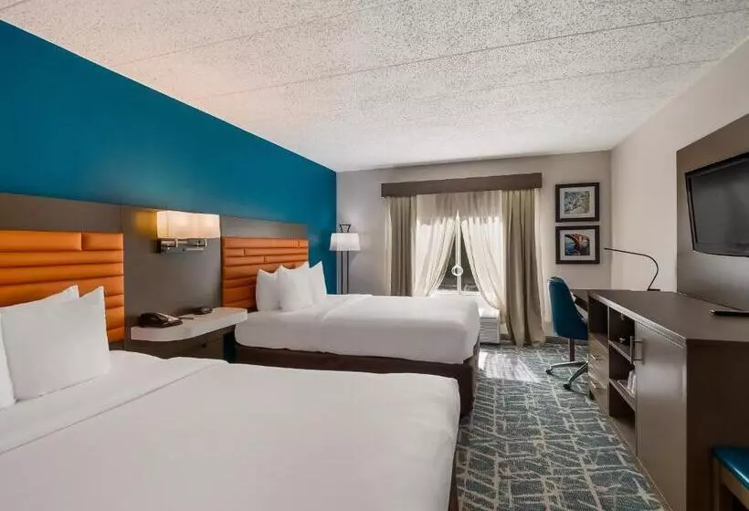 身障者適用スタンダードルーム, Comfort Inn Falls Church   Tysons Corner