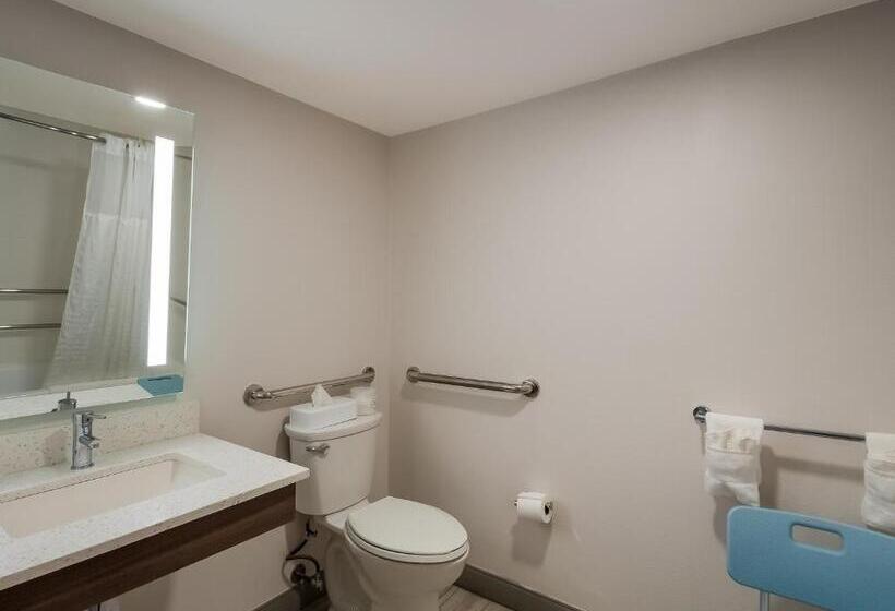 اتاق استاندارد برای معلولان, Comfort Inn Falls Church   Tysons Corner