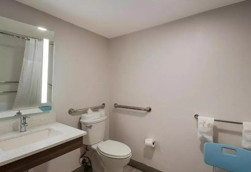 身障者適用スタンダードルーム, Comfort Inn Falls Church   Tysons Corner
