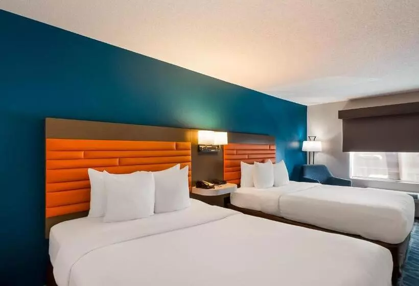 スタンダードルーム, Comfort Inn Falls Church   Tysons Corner